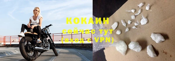 кокс Вяземский