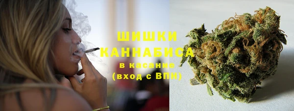 кокс Вяземский