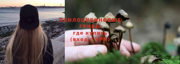 прущая мука Вязники