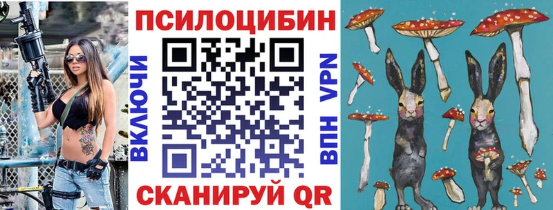 где купить наркоту  Иваново  Галлюциногенные грибы Psilocybine cubensis 